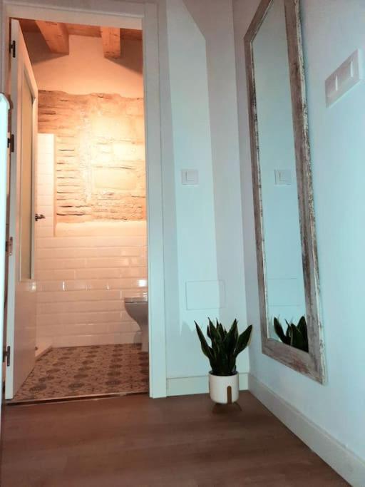 Loft Centrico Con Patio Bodega San Javier Apartment Jerez de la Frontera Bagian luar foto